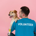 How to Save Money on Fundraising Events in Las Vegas