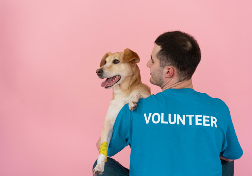 The Power of Sponsoring Fundraising Events in Las Vegas, Nevada